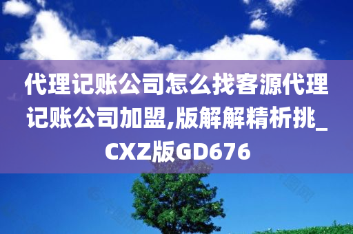 代理记账公司怎么找客源代理记账公司加盟,版解解精析挑_CXZ版GD676