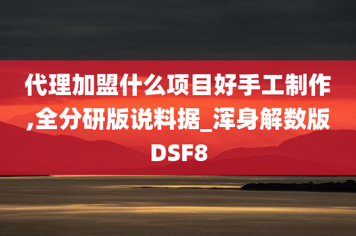 代理加盟什么项目好手工制作,全分研版说料据_浑身解数版DSF8