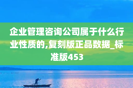 企业管理咨询公司属于什么行业性质的,复刻版正品数据_标准版453