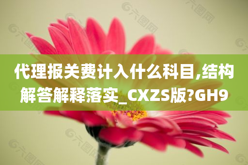 代理报关费计入什么科目,结构解答解释落实_CXZS版?GH9