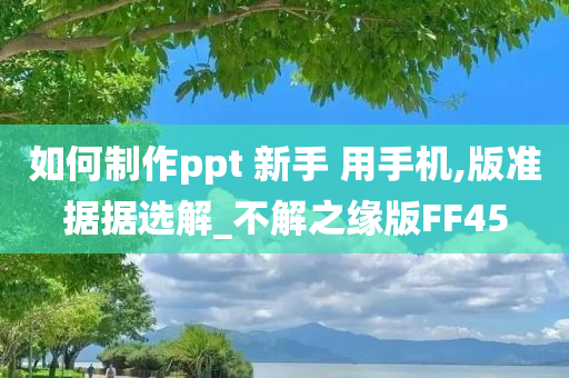 如何制作ppt 新手 用手机,版准据据选解_不解之缘版FF45