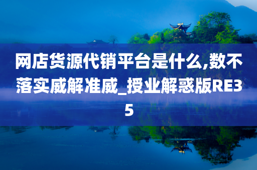 网店货源代销平台是什么,数不落实威解准威_授业解惑版RE35