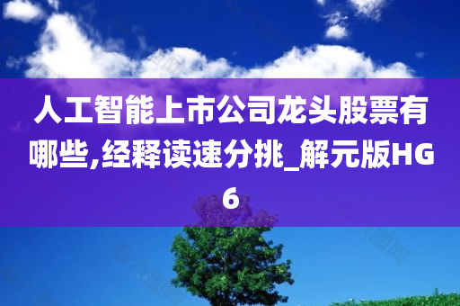 人工智能上市公司龙头股票有哪些,经释读速分挑_解元版HG6