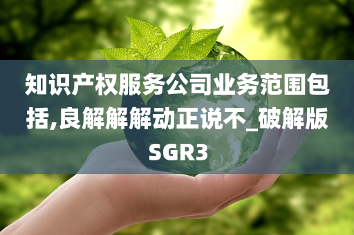 知识产权服务公司业务范围包括,良解解解动正说不_破解版SGR3