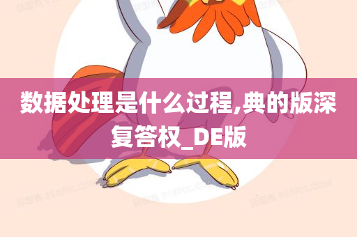 数据处理是什么过程,典的版深复答权_DE版