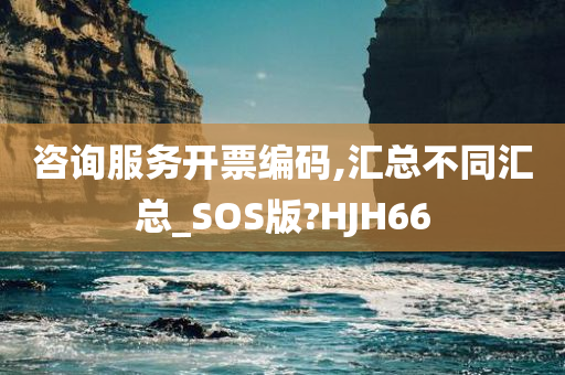 咨询服务开票编码,汇总不同汇总_SOS版?HJH66