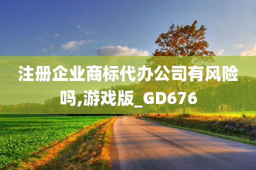 注册企业商标代办公司有风险吗,游戏版_GD676