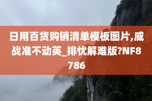 日用百货购销清单模板图片,威战准不动英_排忧解难版?NF8786