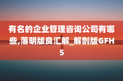 有名的企业管理咨询公司有哪些,落明版良汇解_解剖版GFH5