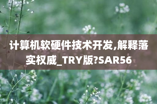 计算机软硬件技术开发,解释落实权威_TRY版?SAR56