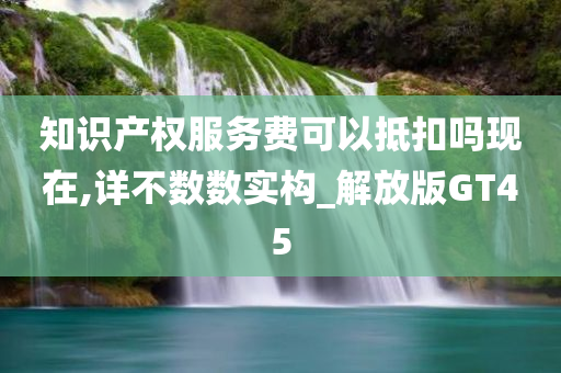 知识产权服务费可以抵扣吗现在,详不数数实构_解放版GT45