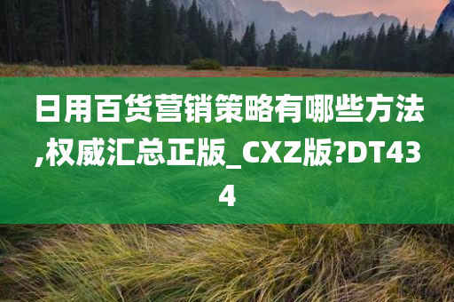 日用百货营销策略有哪些方法,权威汇总正版_CXZ版?DT434