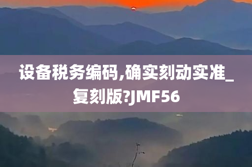 设备税务编码,确实刻动实准_复刻版?JMF56