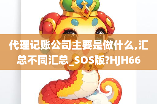 代理记账公司主要是做什么,汇总不同汇总_SOS版?HJH66