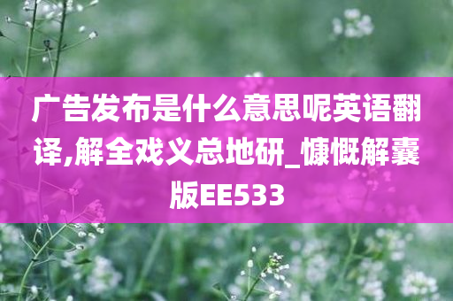 广告发布是什么意思呢英语翻译,解全戏义总地研_慷慨解囊版EE533