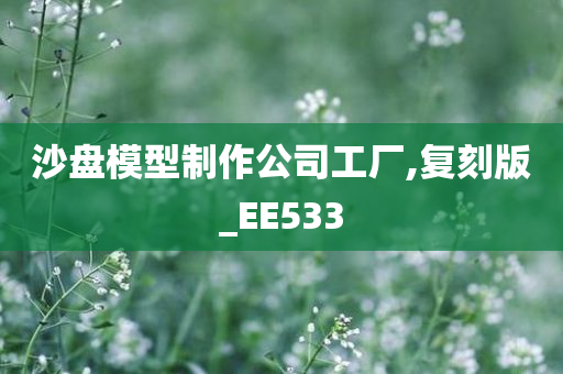 沙盘模型制作公司工厂,复刻版_EE533