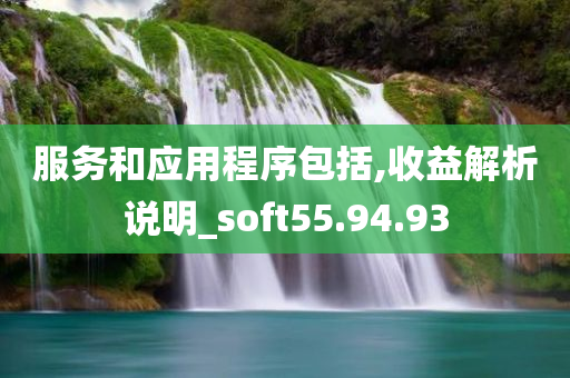 服务和应用程序包括,收益解析说明_soft55.94.93