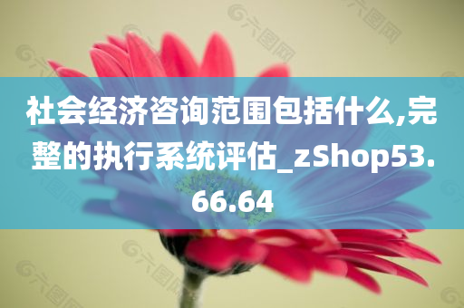 社会经济咨询范围包括什么,完整的执行系统评估_zShop53.66.64