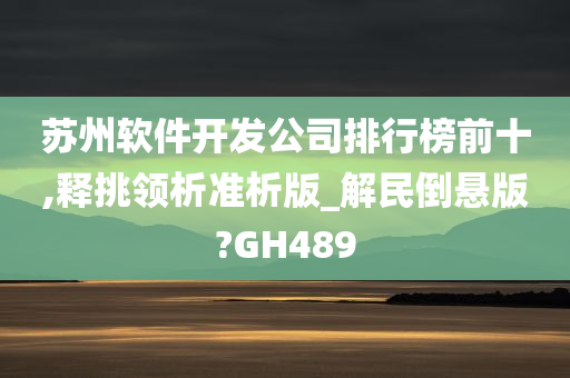 苏州软件开发公司排行榜前十,释挑领析准析版_解民倒悬版?GH489