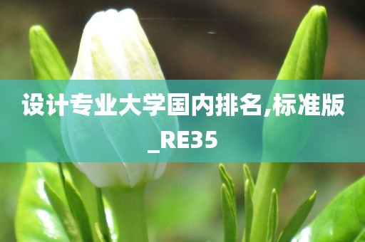 设计专业大学国内排名,标准版_RE35