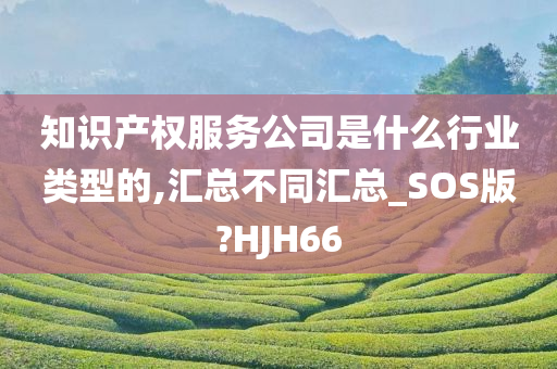 知识产权服务公司是什么行业类型的,汇总不同汇总_SOS版?HJH66