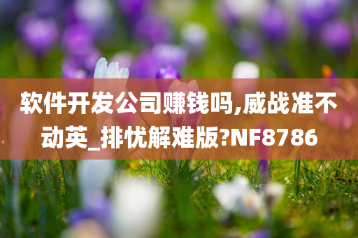 软件开发公司赚钱吗,威战准不动英_排忧解难版?NF8786