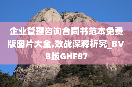 企业管理咨询合同书范本免费版图片大全,效战深释析究_BVB版GHF87