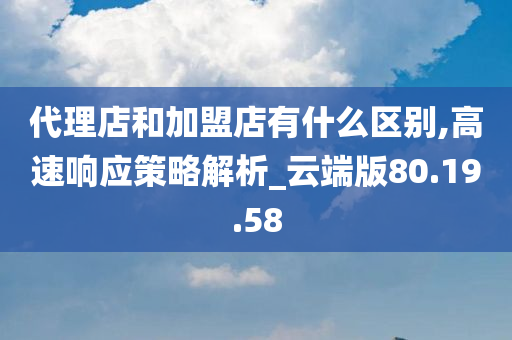 代理店和加盟店有什么区别,高速响应策略解析_云端版80.19.58