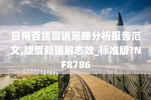 日用百货营销策略分析报告范文,版度新据解态效_标准版?NF8786