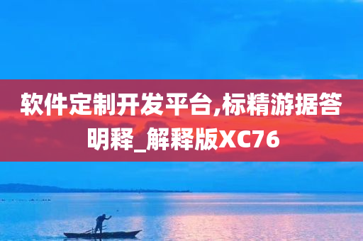 软件定制开发平台,标精游据答明释_解释版XC76