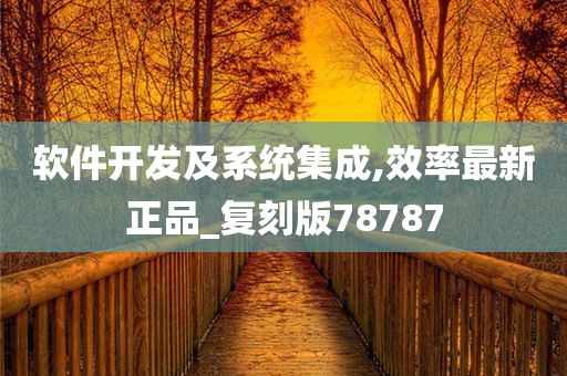 软件开发及系统集成,效率最新正品_复刻版78787