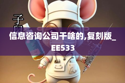 信息咨询公司干啥的,复刻版_EE533