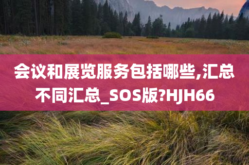 会议和展览服务包括哪些,汇总不同汇总_SOS版?HJH66