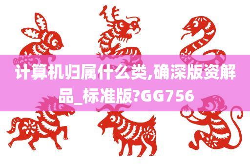 计算机归属什么类,确深版资解品_标准版?GG756