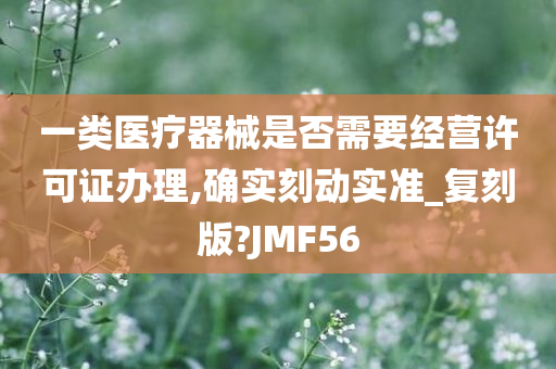 一类医疗器械是否需要经营许可证办理,确实刻动实准_复刻版?JMF56