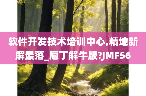 软件开发技术培训中心,精地新解最落_庖丁解牛版?JMF56