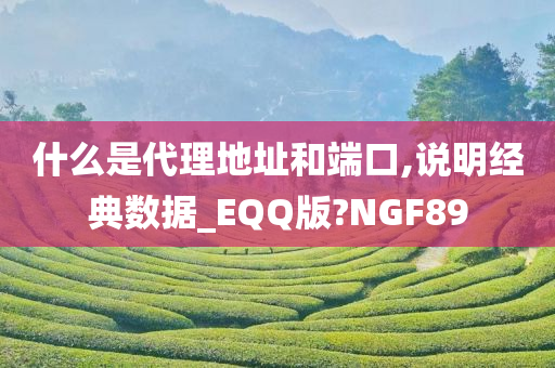 什么是代理地址和端口,说明经典数据_EQQ版?NGF89