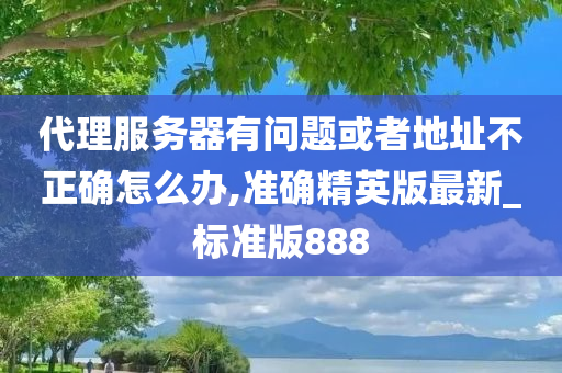 代理服务器有问题或者地址不正确怎么办,准确精英版最新_标准版888